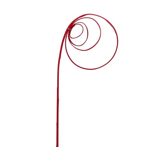 Article Tiges de canne enroulées Rouge bordeaux 40-50cm 25pcs