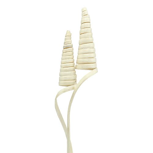 Floristik24 Cône de canne blanchi 25 pcs