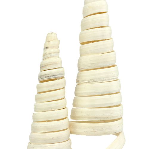 Floristik24 Cône de canne blanchi 25 pcs