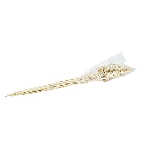Floristik24 Cône de canne blanchi 25 pcs