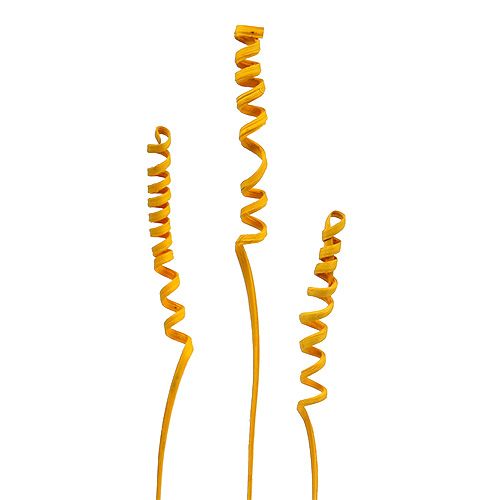 Floristik24 Cane Spring mini jaune doré 25 pcs