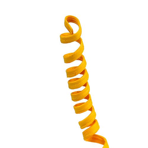 Floristik24 Cane Spring mini jaune doré 25 pcs