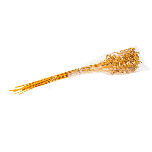 Floristik24 Cane Spring mini jaune doré 25 pcs