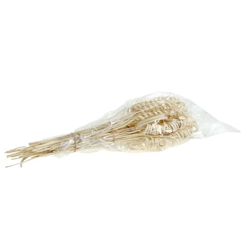 Article Assortiment de cannes mini blanchies 75 pièces