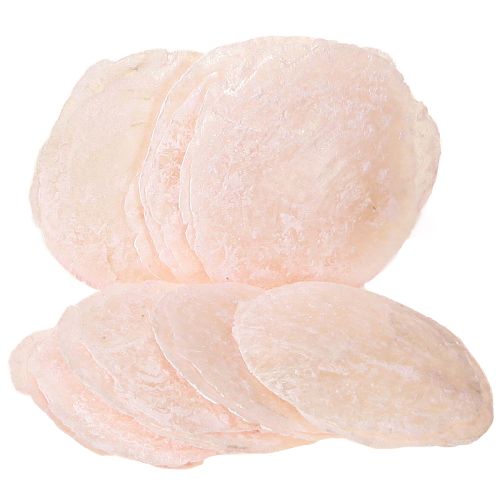 Floristik24 Coquillages Capiz disques nacre déco coquillages rose clair Ø8cm
