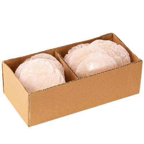 Floristik24 Coquillages Capiz disques nacre déco coquillages rose clair Ø8cm