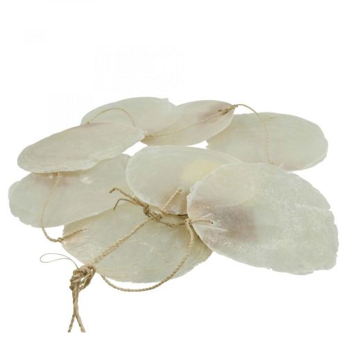 Floristik24 Guirlande de coquillages de Capiz nacre, décoration maritime 100cm