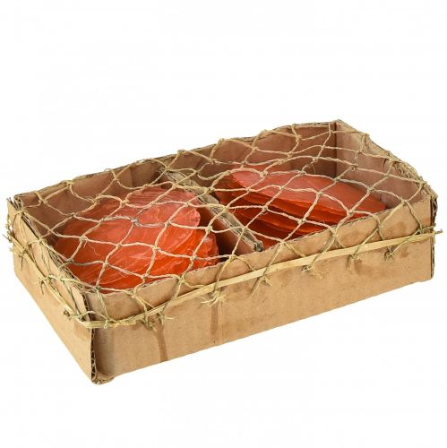 Article Coquilles de Capiz Tranches de Capiz tranches de nacre orange 7,5–9,5 cm 300g