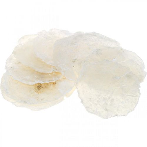 Maritime, coquillages Capiz 5–10cm, nacre, objets naturels 1kg