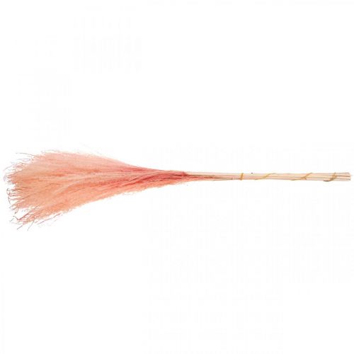 Article Roseau chinois herbe sèche rose clair Miscanthus H75cm 10 pcs
