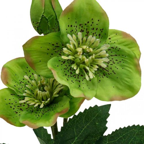 Rose de Noël Rose de Carême Hellébore fleurs artificielles vert L34cm 4pcs
