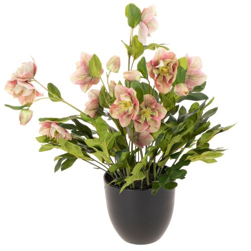 Hellébore artificielle en pot, rose de Noël, pour la décoration intérieure, 50 cm