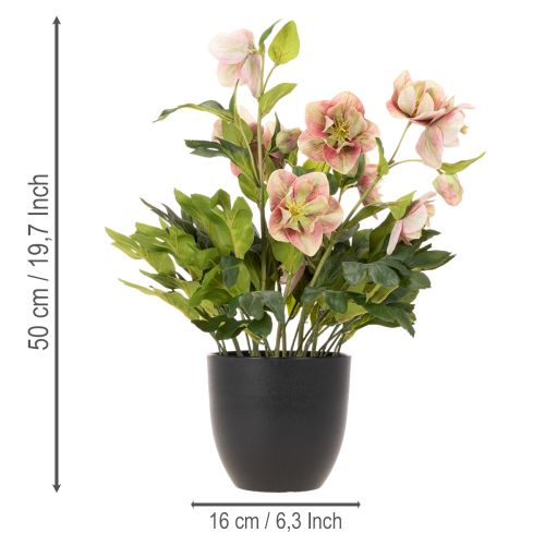 Plante artificielle Hellébore en pot - 50 cm - Décoration intérieure | Floristik24.fr