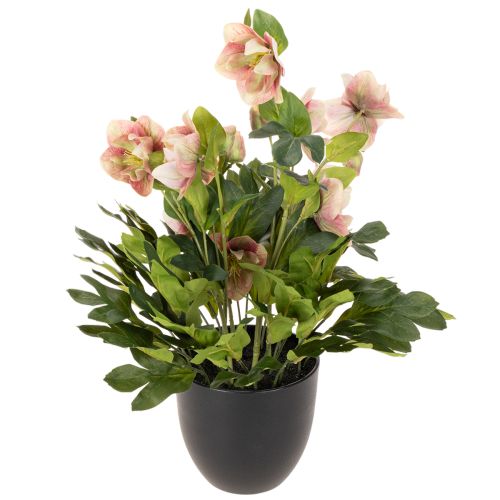 Plante artificielle Hellébore en pot - 50 cm - Décoration intérieure | Floristik24.fr