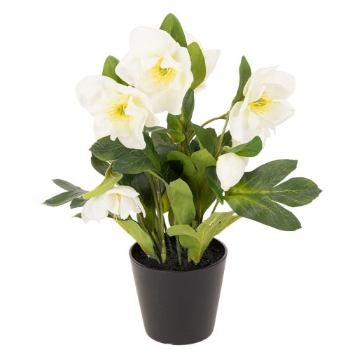 Rose de Noël artificielle, plante en pot, décoration de table, 34 cm acheter | Floristik24.fr