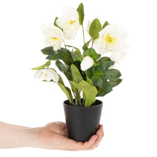 Rose de Noël artificielle, plante en pot, décoration de table, 34 cm | Floristik24.fr