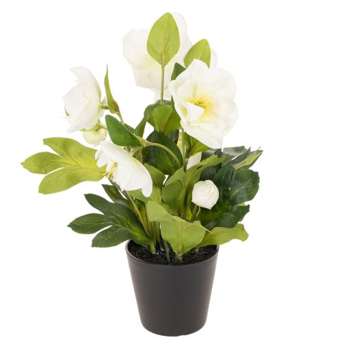 Rose de Noël artificielle, plante en pot, décoration de table, 34 cm | Floristik24.fr