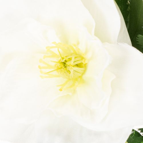 Kunstblume Hellebore blanche en bouquet, 36 cm | Floristik24.fr