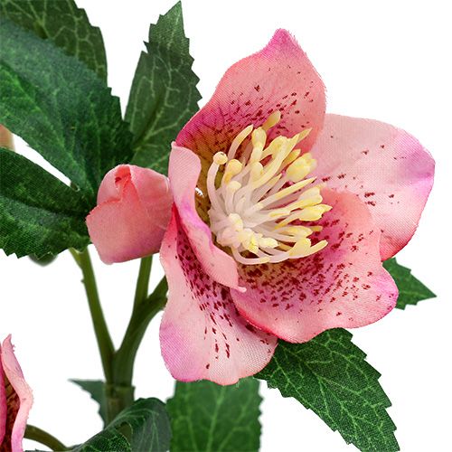 Floristik24 Rose de Noël Rose L22cm 1pc
