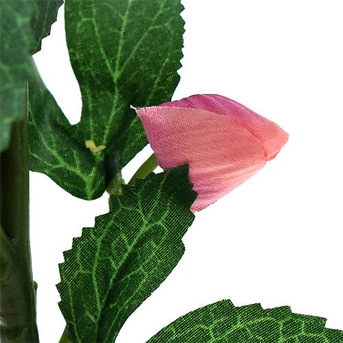 Floristik24 Rose de Noël Rose L22cm 1pc