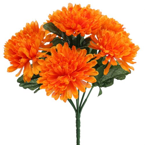 Floristik24 Chrysanthème orange avec 7 fleurs