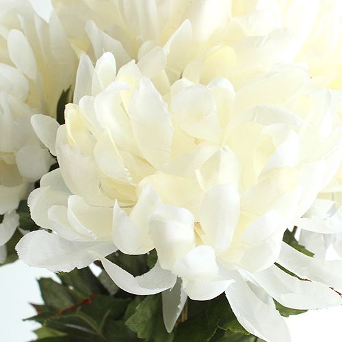 Floristik24 Piquet de chrysanthèmes crème 57 cm 2 p.