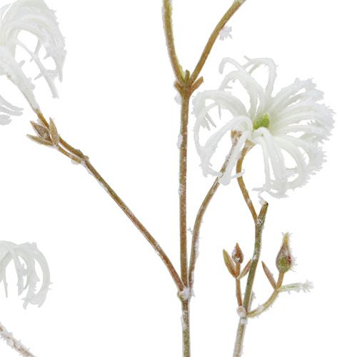 Floristik24 Branche de clématite blanche floquée 62cm 3pcs