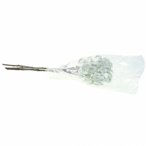 Article Clématite verte avec neige 43cm 3 pcs