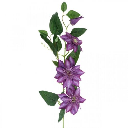 Floristik24.fr Clématite artificielle, fleur de soie, branche décorative  avec fleurs de clématite violette L84cm - acheter pas cher en ligne