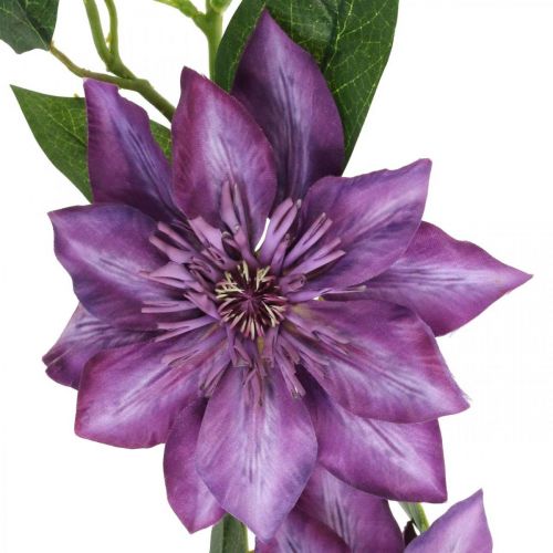 Floristik24.fr Clématite artificielle, fleur de soie, branche décorative  avec fleurs de clématite violette L84cm - acheter pas cher en ligne