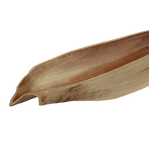 Floristik24 Feuille de palmier coco 60 - 80 cm couleur naturelle