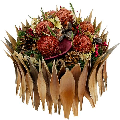 Article Coquilles de noix de coco feuilles de noix de coco blanchies 25 pcs