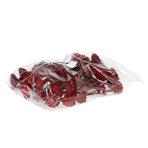 Article Rosace Compacta rouge 40 pcs