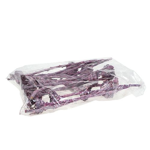 Article Compacta Rosette Mûre Givrée 20 pcs