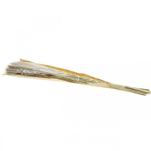 Article Herbe sèche herbe de pampa bouquet naturel 80cm