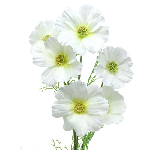 Floristik24 Cosmea blanc 77cm 3pcs