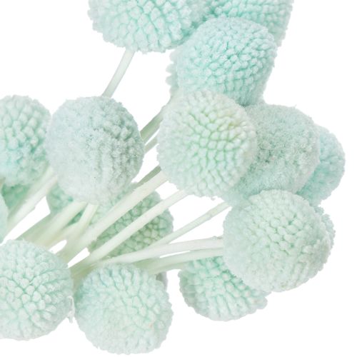 Article Fleurs de Craspedia séchées, bouquet décoratif pour salon, décoration de table, mariage, 55 cm, 20 pièces