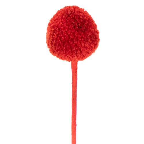 Fleurs séchées Craspedia rouges, tiges longues 55 cm, lot de 20 | Floristik24.fr
