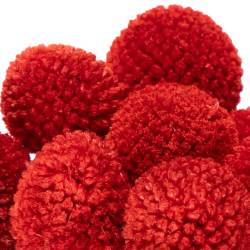 Fleurs séchées Craspedia rouges, tiges longues 55 cm, lot de 20 | Floristik24.fr
