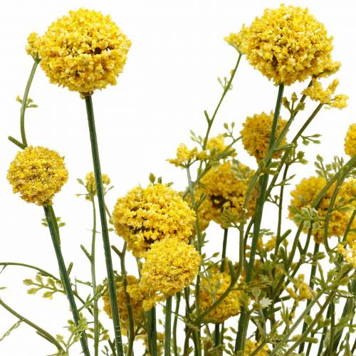 Floristik24 Craspedia artificiel en tas de pilons jaunes 3pcs