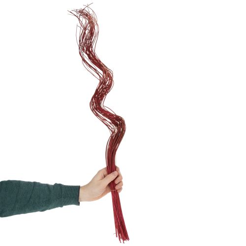 Article Branche décorative séchée de saule tortueux pour la création florale et la décoration intérieure, 80 cm, 70 g