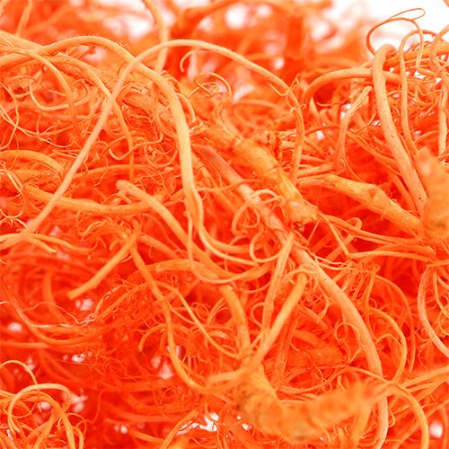 Floristik24 Orange mousse frisée 350g