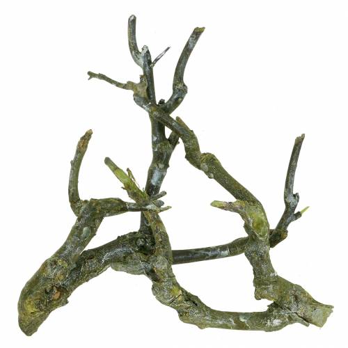 Article Déco branche curry bush vert lavé 500g