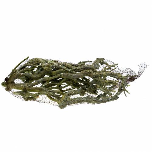 Article Déco branche curry bush vert lavé 500g