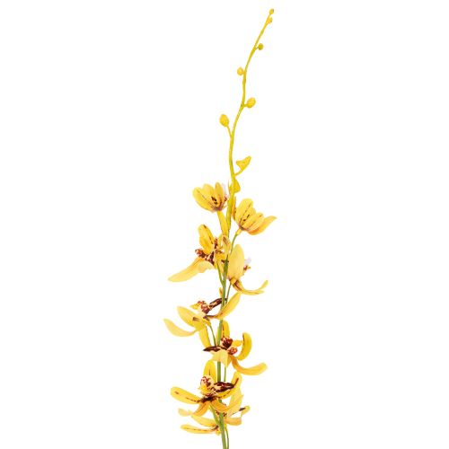 Article Orchidée Cymbidium artificielle en tige florale pour décoration élégante, 95 cm, lot de 2