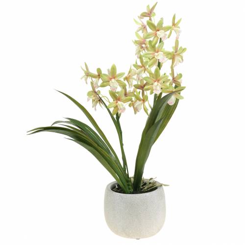 Floristik24 Orchidée Cymbidium Vert en pot Artificielle H46cm