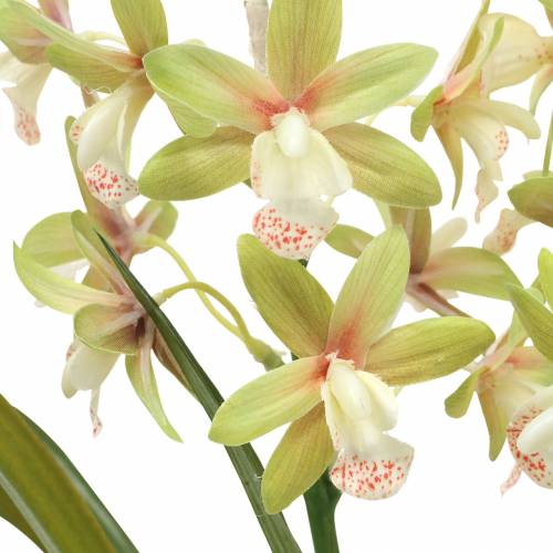 Article Orchidée Cymbidium Vert en pot Artificielle H46cm