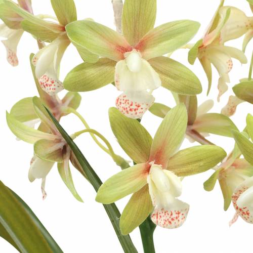 Floristik24 Orchidée Cymbidium Vert en pot Artificielle H46cm
