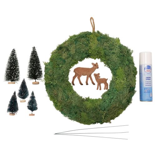 Floristik24 Coffret DIY couronne de mousse couronne de porte forêt d&#39;hiver Noël Ø34cm
