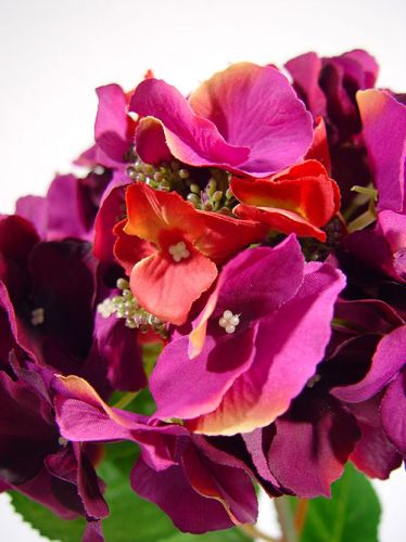 Floristik24 Hortensia 43cm violet foncé (3pcs)